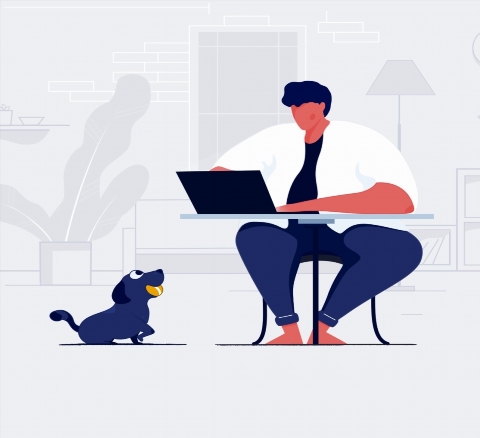 Crear sitio web de profesor
